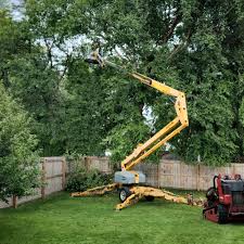 Best Tree Preservation Services  in Yucos, CA