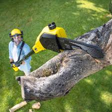 Best Pest Control for Lawns  in Yucos, CA